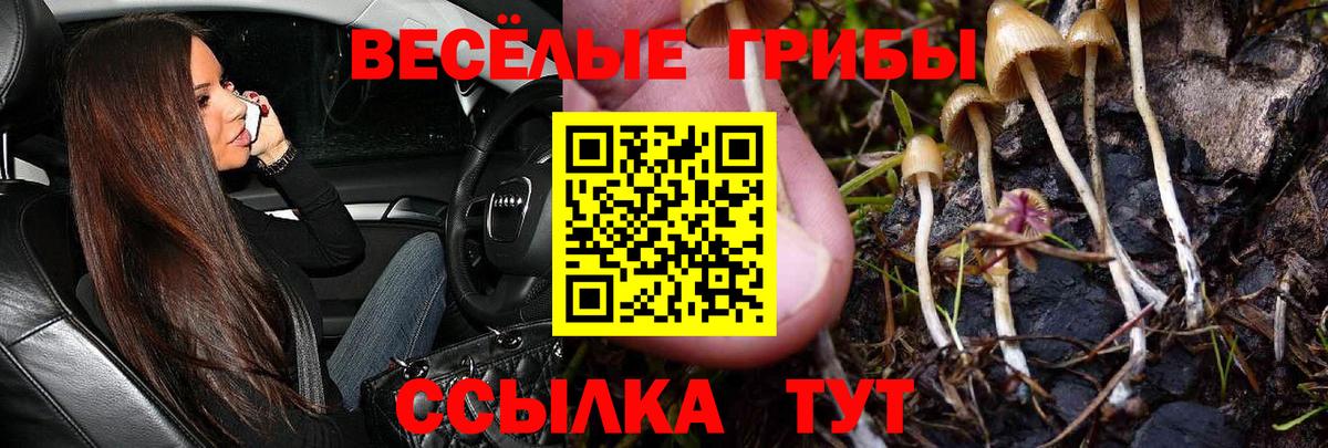 Псилоцибиновые грибы прущие грибы  Вход с VPN  Алапаевск 